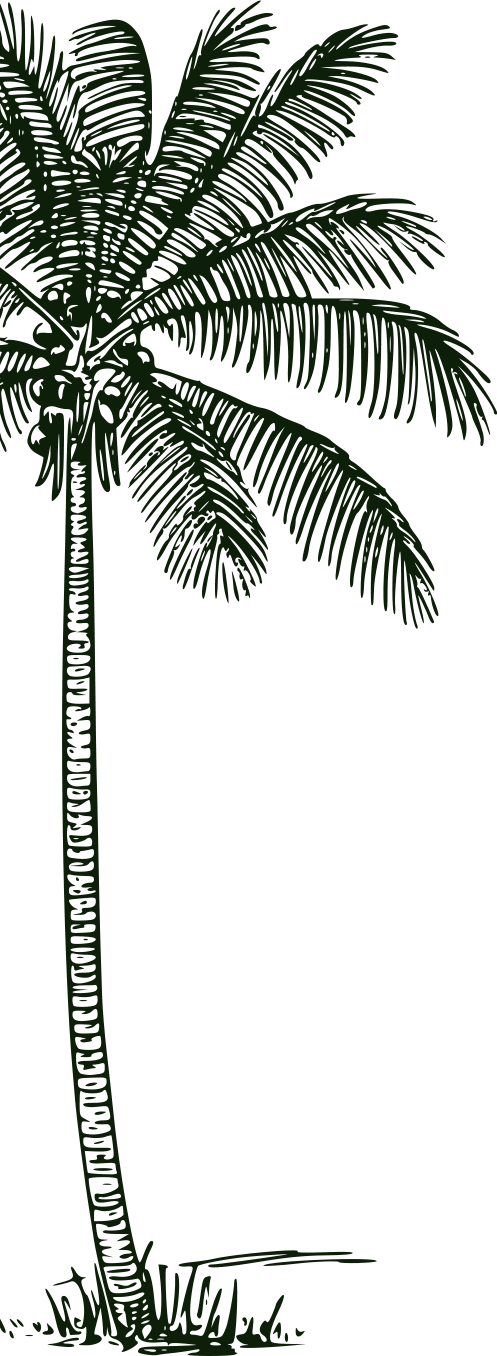 tree-vector